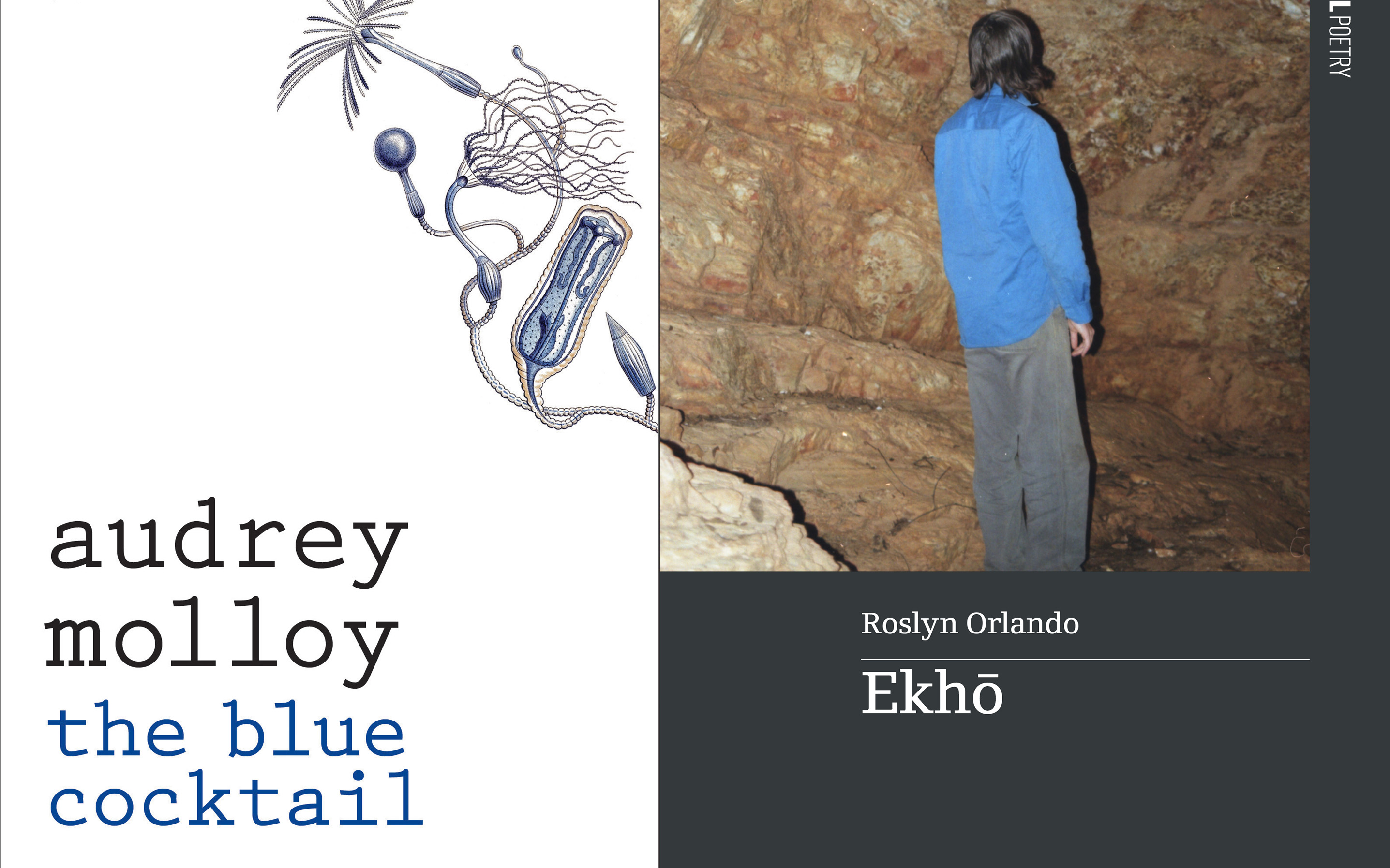 Sam Ryan reviews ‘The Blue Cocktail’ by Audrey Molloy and ‘Ekhō’ by Roslyn Orlando